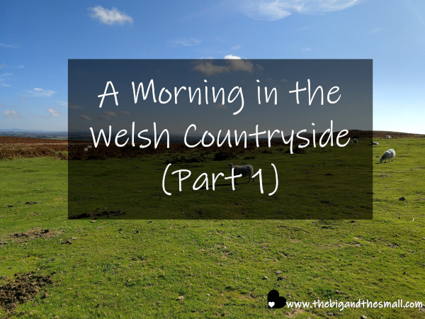A Morning in the Welsh Countryside (Part 1).png