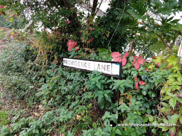 Providence Lane sign.png