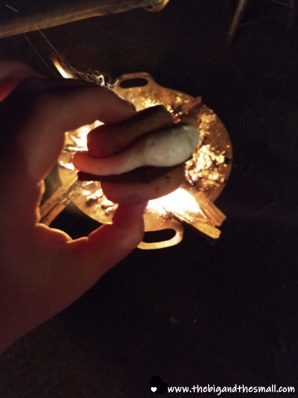 S'mores.png